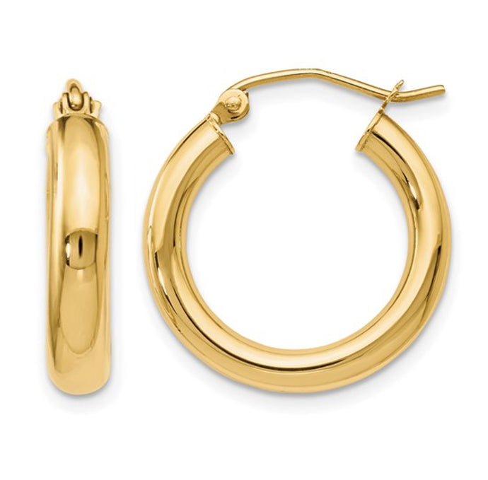 Alison Gold Hoops