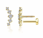Ariana Diamond Piercings