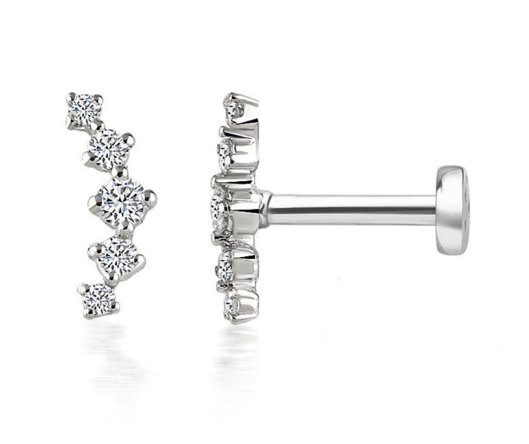 Ariana Diamond Piercings