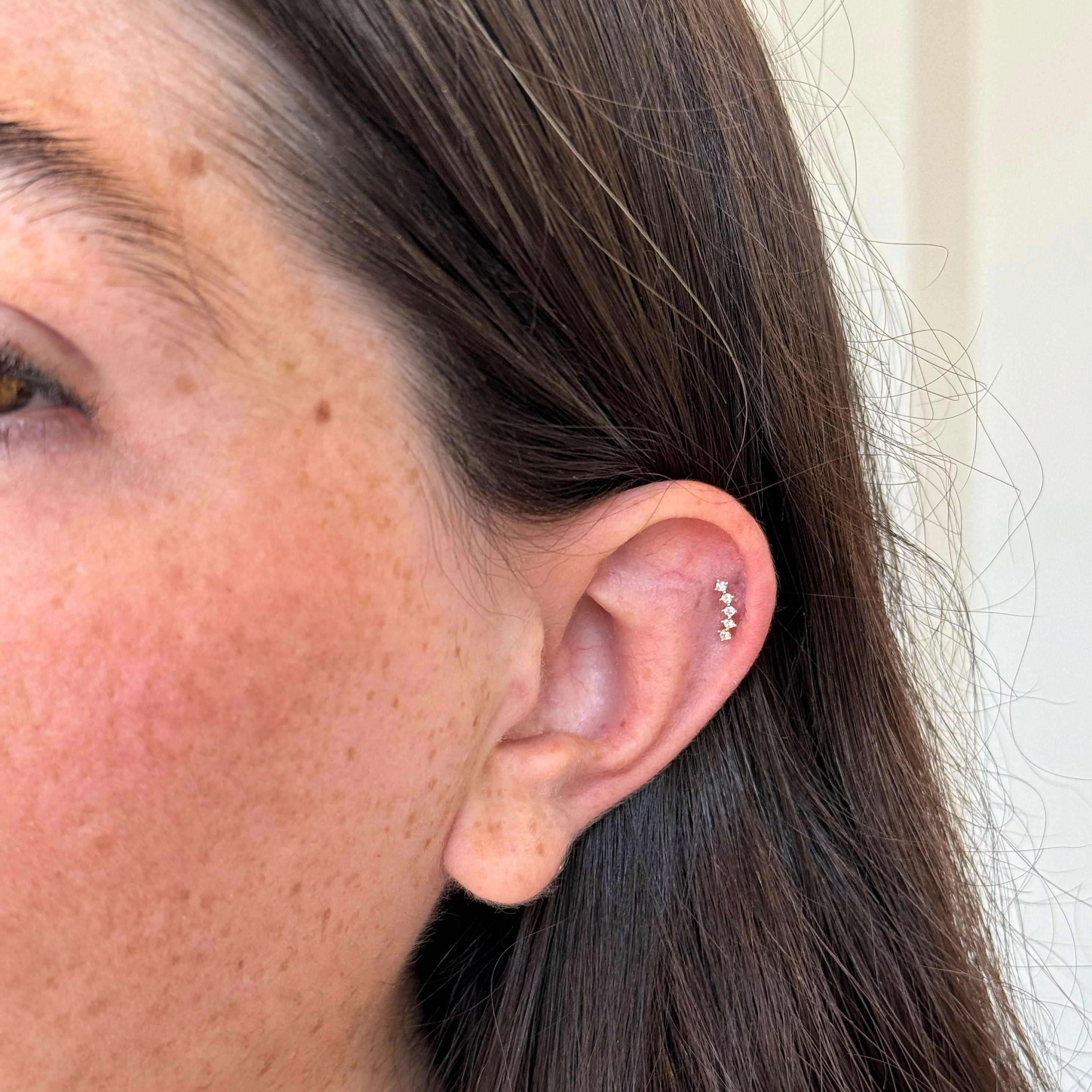 Ariana Diamond Piercings
