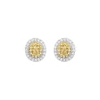 Lorenza Yellow Diamond Studs