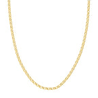 Clara Gold Rolo Chain Necklace