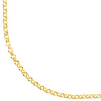 Clara Gold Rolo Chain Necklace
