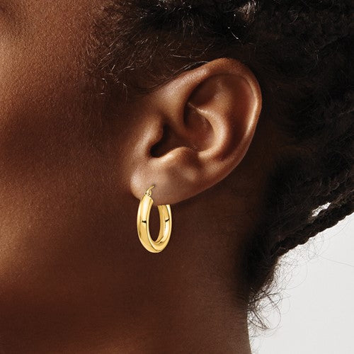 Felicia Gold Hoops