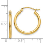Everly Gold Hoops
