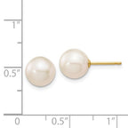 Perla Studs